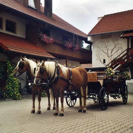 Appartementhaus "Haflinger Hof" Bad Fussing Ngoại thất bức ảnh