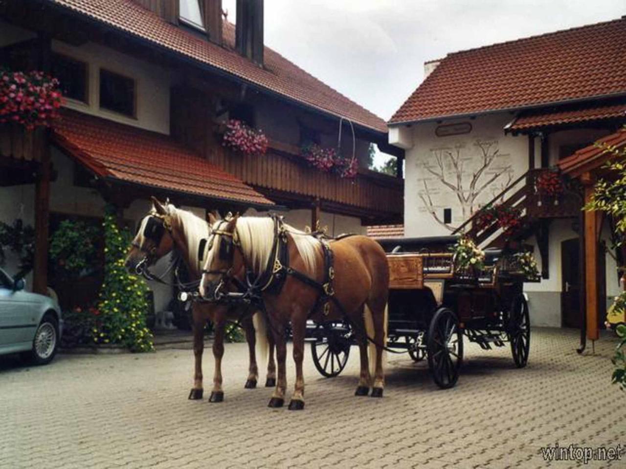 Appartementhaus "Haflinger Hof" Bad Fussing Ngoại thất bức ảnh